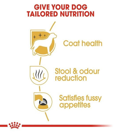 Royal Canin Breed Health Nutrition Maltese Adult Dry Dog Food 1.5 KG