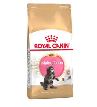 Royal Canin  Feline Breed Nutrition Maine Coon Kitten Dry Food 2 KG