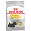 Royal Canin Canine Care Nutrition Mini Dermacomfort Dry Dog Food 3 KG