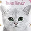 Kitty Crunch Tuna Flavor (60g)