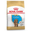 Royal Canin Breed Health Nutrition Cocker Puppy Dry Food 3 KG
