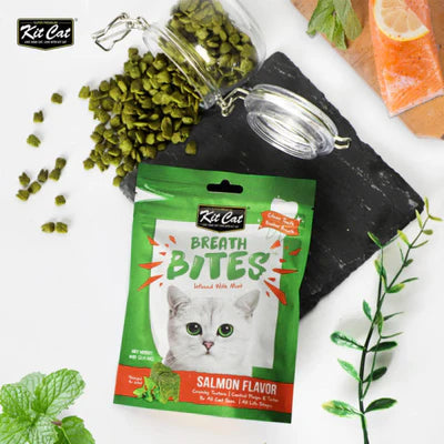Breath Bites Salmon Flavor 60g