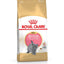 Royal Canin  Feline Breed Nutrition British Shorthair Kitten Dry Food 2 KG