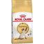 Royal Canin  Feline Breed Nutrition Siamese Adult Cat Dry Food 2 KG