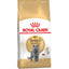 Royal Canin Feline Breed Nutrition British Shorthair Adult Dry Cat Food