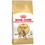 Royal Canin Feline Breed Nutrition Bengal Adult Cat Dry Food 2 KG
