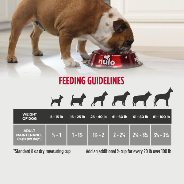 Nulo Frontrunner Adult Dog Chicken, Oats & Turkey
